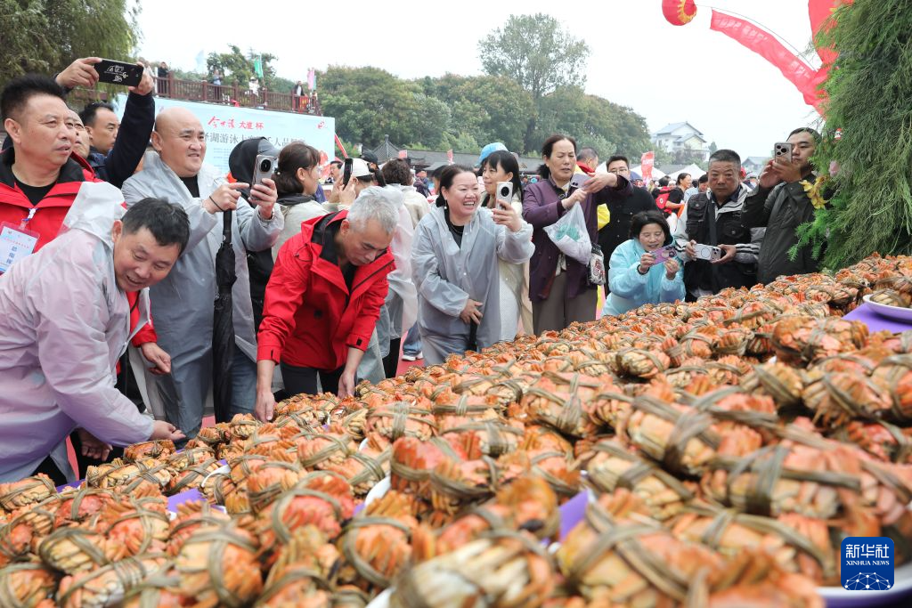 今年会·(jinnianhui)官网介绍图片
