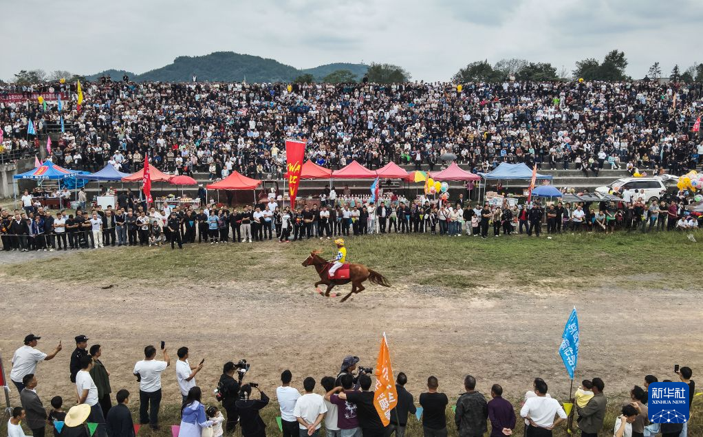 今年会·(jinnianhui)网站介绍图片