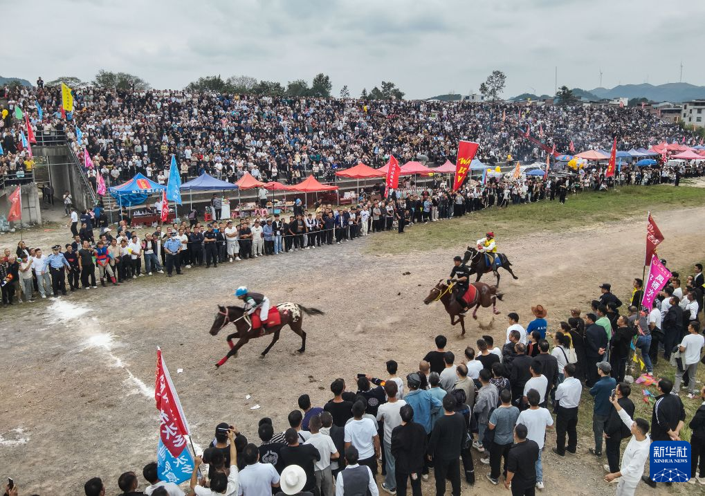 今年会·(jinnianhui)官网详情图